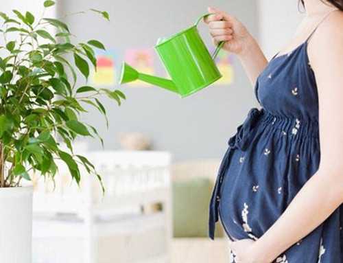 深圳哪个医院有代孕 2021年深圳可以做供卵试管的医院名单 ‘b超横切面就是女