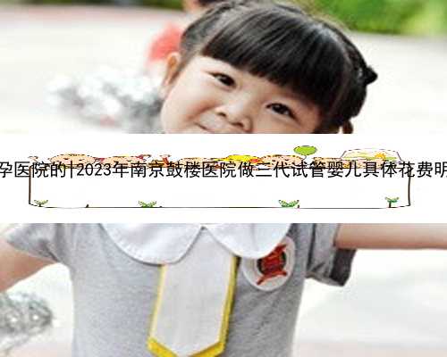 南京试管代孕医院的|2023年南京鼓楼医院做三代试管婴儿具体花费明细有哪些？