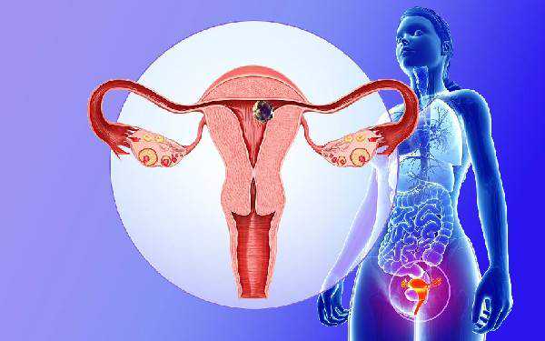 菟丝子、川穹这两种药物对女性备孕帮助大，备孕的女性都应该了解